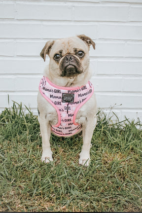 INFLUENCER_CONTENT | @LITTLEMISSYTHEPUG | SIZE M