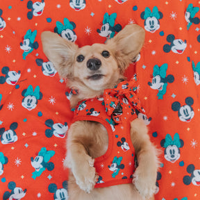 INFLUENCER_CONTENT | @MAYATHEDOX