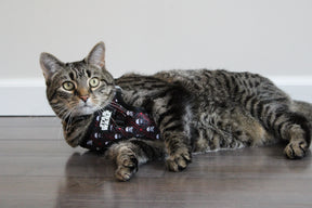 INFLUENCER_CONTENT | @MILATHEAUSSIEDOG | SIZE M & L