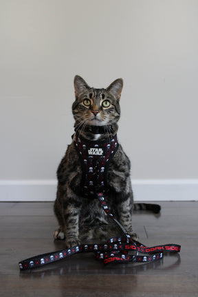 INFLUENCER_CONTENT | @MILATHEAUSSIEDOG | SIZE L