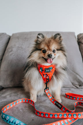 INFLUENCER_CONTENT | @MISS.MILLIE.POM | SIZE XXS