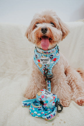 A small, fluffy light brown dog sits on a cream blanket, wearing the Sassy Woof Dog Adjustable Harness – Hello Kitty® & Friends In the Sky and matching leash, looking happy with its tongue out.