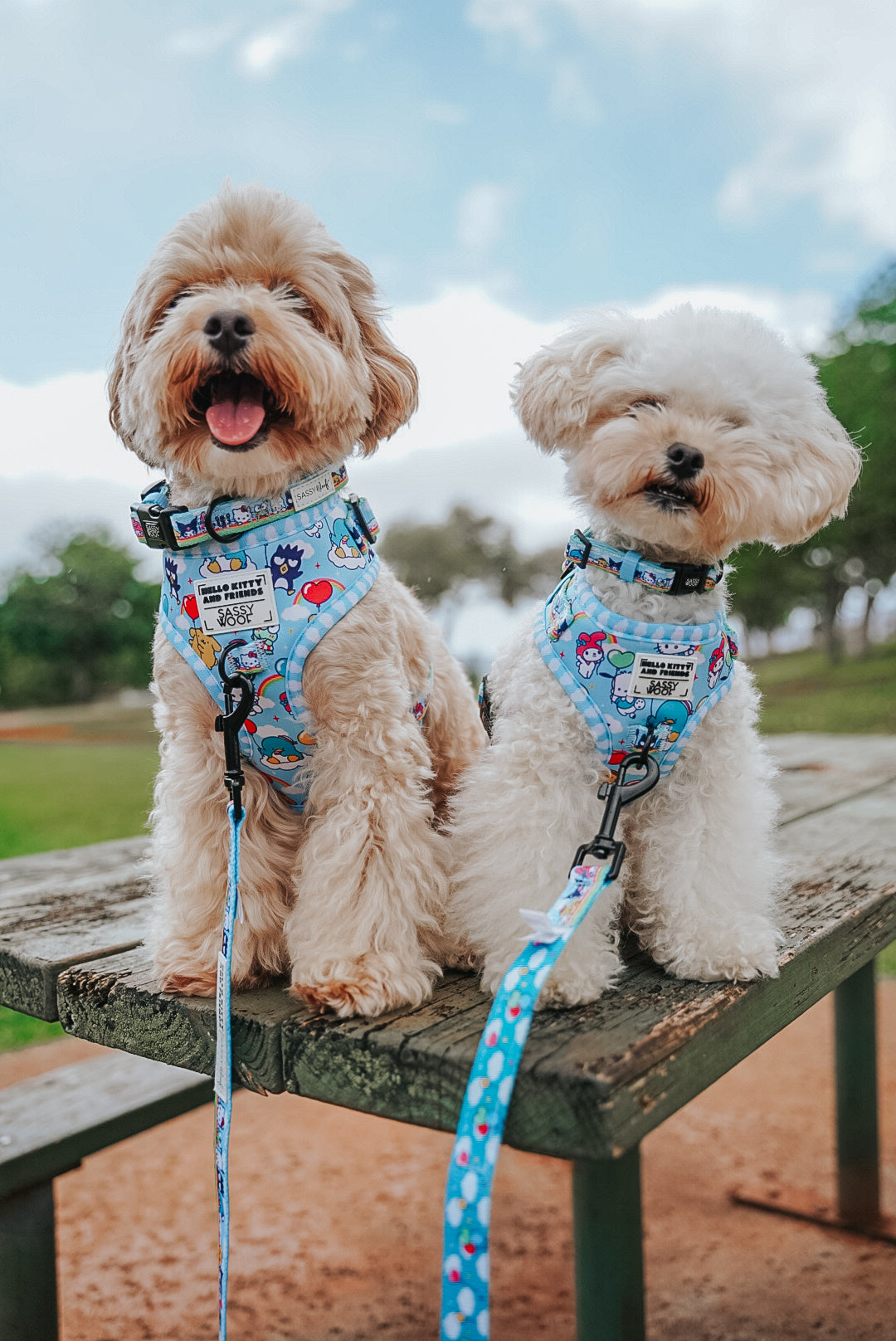 INFLUENCER_CONTENT | @MOCHIII808 | SIZE XS,S & XXS,XS