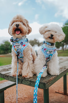 INFLUENCER_CONTENT | @MOCHIII808 | SIZE XS,S