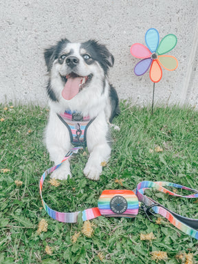 INFLUENCER_CONTENT | @MOTLEY_THE_AUSSIE