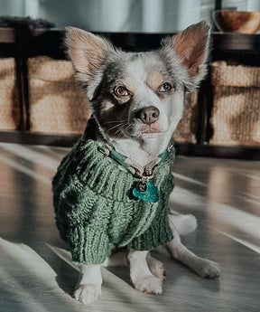INFLUENCER_CONTENT | @MOWGLI_CHI_MIX | SIZE L