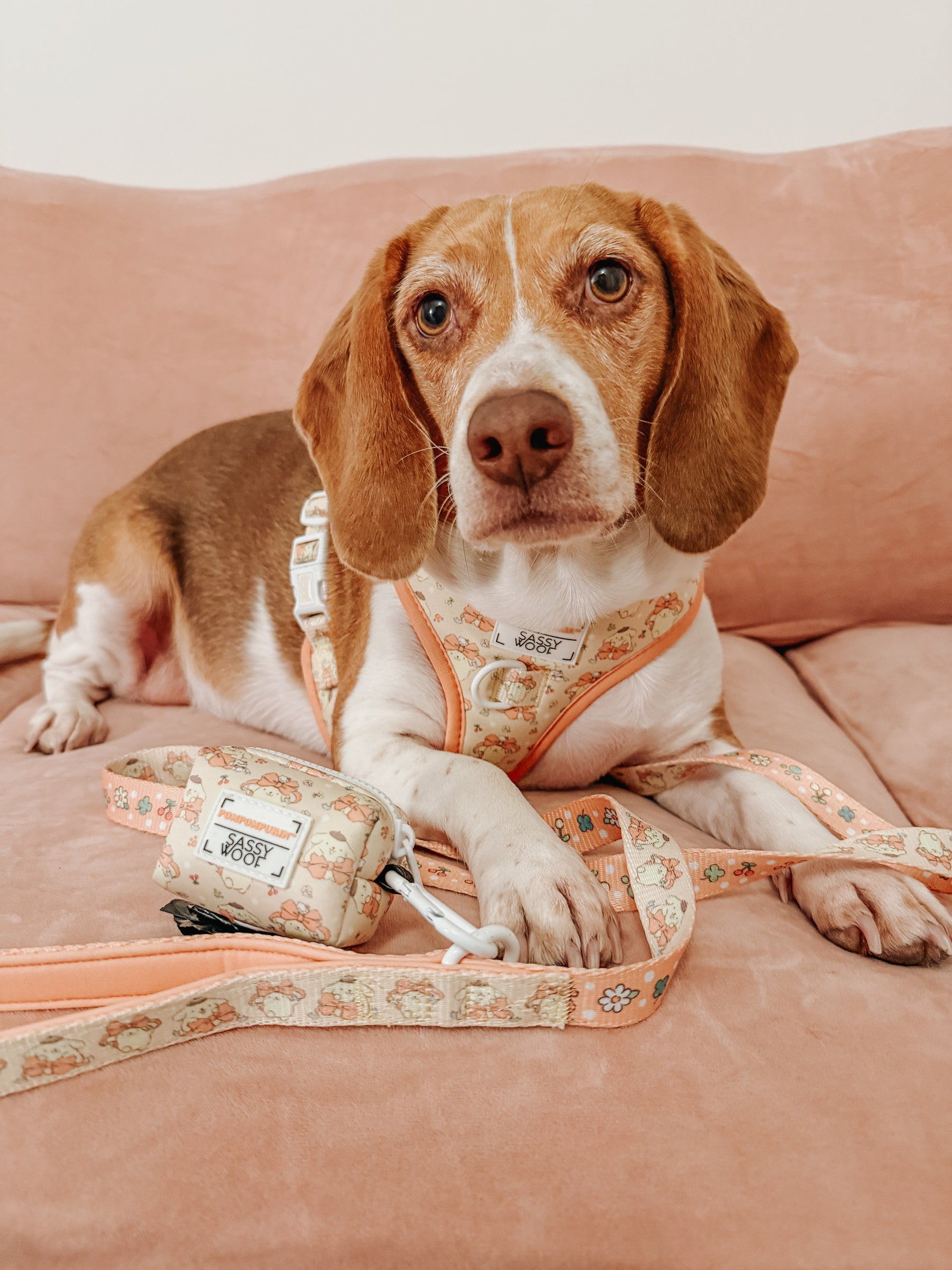 INFLUENCER_CONTENT | @MYLADEE__ 