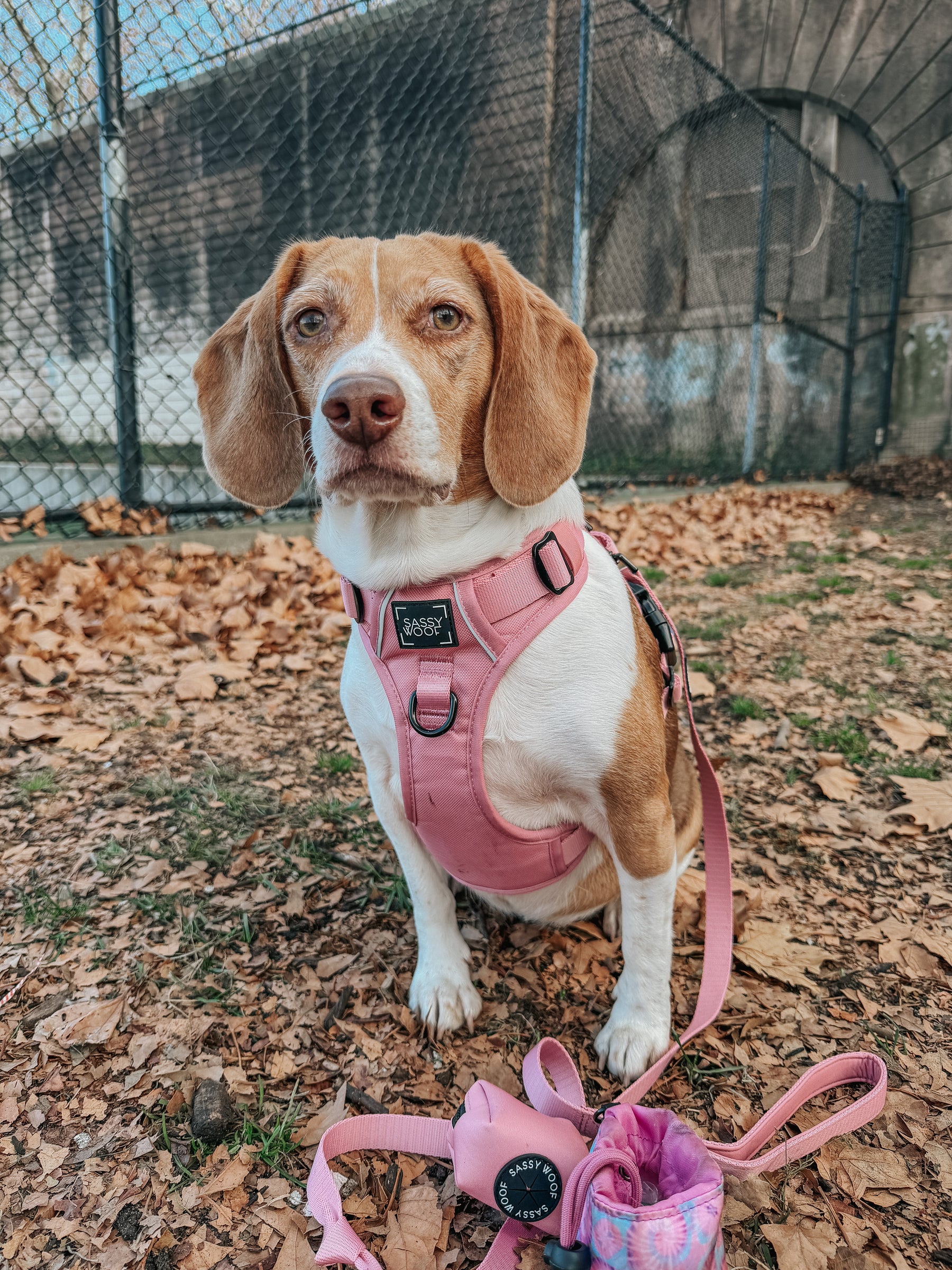 INFLUENCER_CONTENT | @MYLADEE_ | SIZE M & M