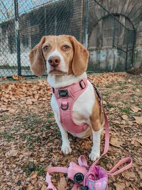 INFLUENCER_CONTENT | @MYLADEE_ | SIZE M & M