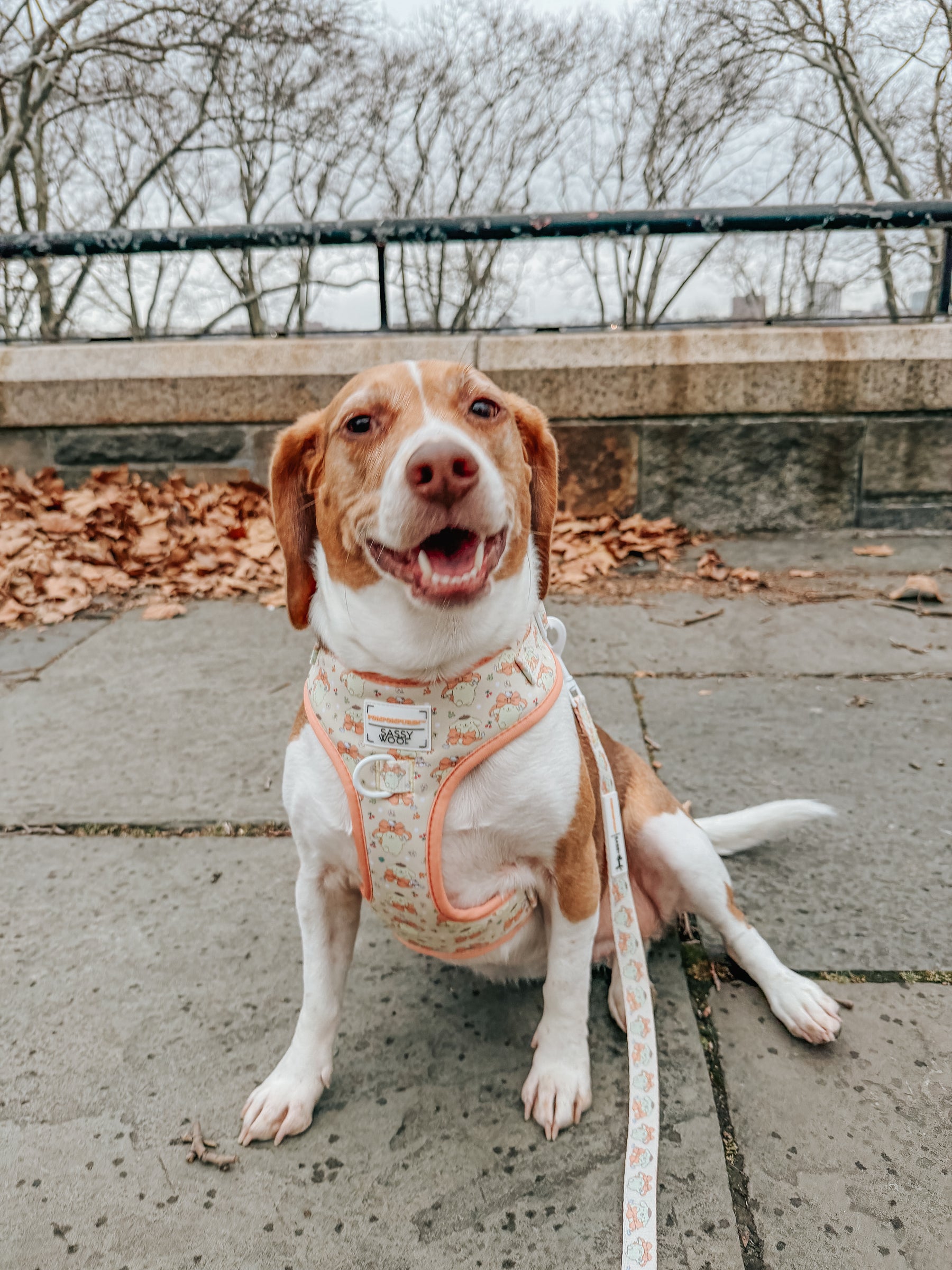 INFLUENCER_CONTENT | @MYLADEE_ | SIZE M