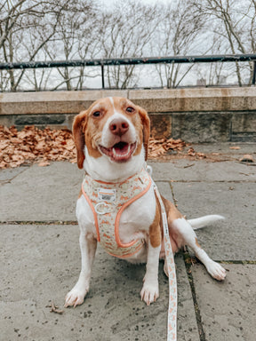 INFLUENCER_CONTENT | @MYLADEE_ | SIZE M