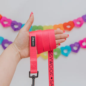 Dog Leash - Neon Pink