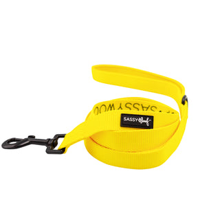 Collar 3 Piece Bundle - Neon Yellow