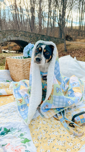 INFLUENCER_CONTENT | @THEADVENTURESOFFRODOANDDAISY | 