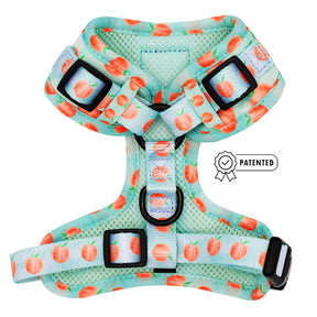 Dog Adjustable Harness - Peach Please