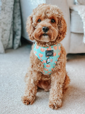 Dog Adjustable Harness - Peach Please