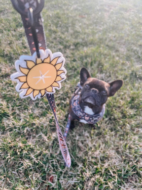 INFLUENCER_CONTENT | @PEPPAPIETHEFRENCHIE