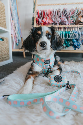 INFLUENCER_CONTENT | @POPPY_AND_SPROUT