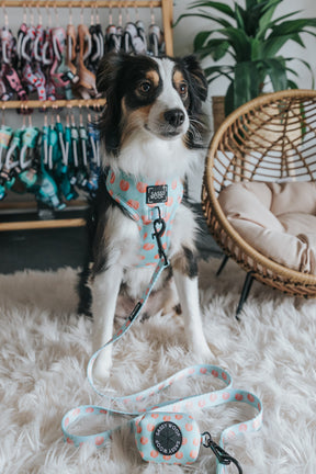 INFLUENCER_CONTENT | @PUPPY_AND_SPROUT
