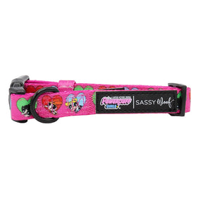 Dog Collar - The Powerpuff Girls™ (Love)