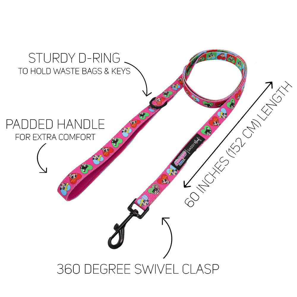 The Sassy Woof Dog Two Piece Bundle - The Powerpuff Girls™ (Love) includes a pink leash with cartoon designs, padded handle, sturdy D-ring for bags or keys, 360° swivel clasp, and is 60 inches (152 cm) long—perfect with an adjustable harness.
