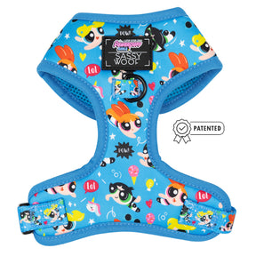 Dog Four Piece Bundle - The Powerpuff Girls™ (Blue)