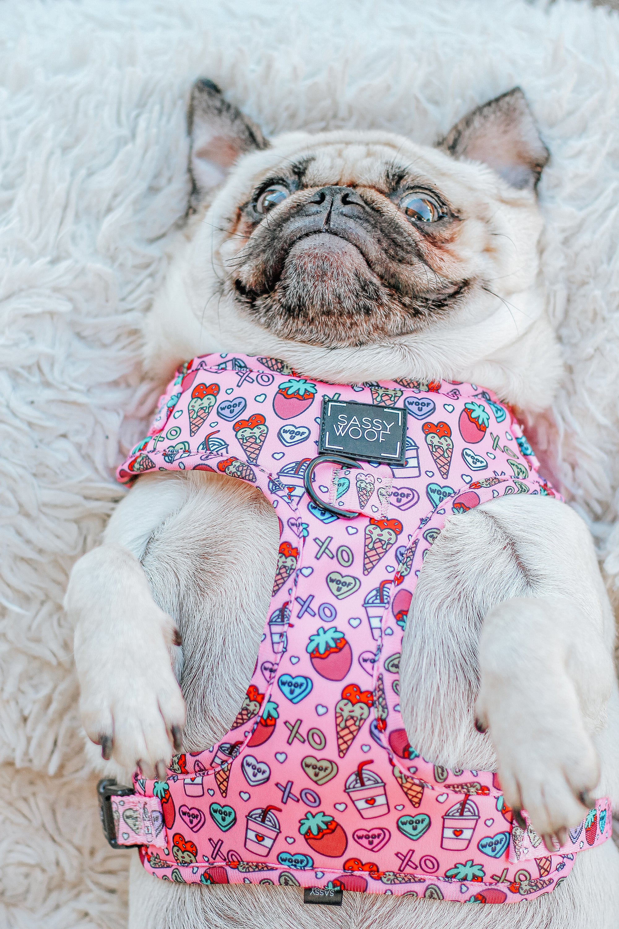 INFLUENCER_CONTENT | @LITTLEMISSYTHEPUG | SIZE M