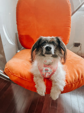 INFLUENCER_CONTENT | @RESCUINGRUTHIE | SIZE S