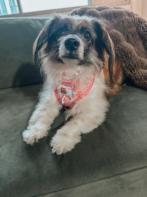 INFLUENCER_CONTENT | @RESCUINGRUTHIE | SIZE XS