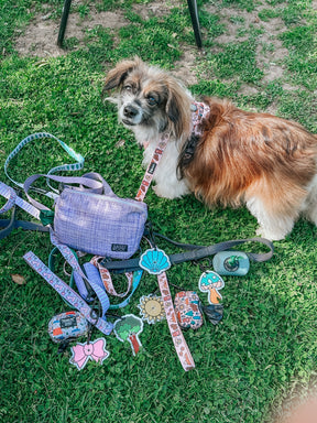 INFLUENCER_CONTENT | @RESCUINGRUTHIE