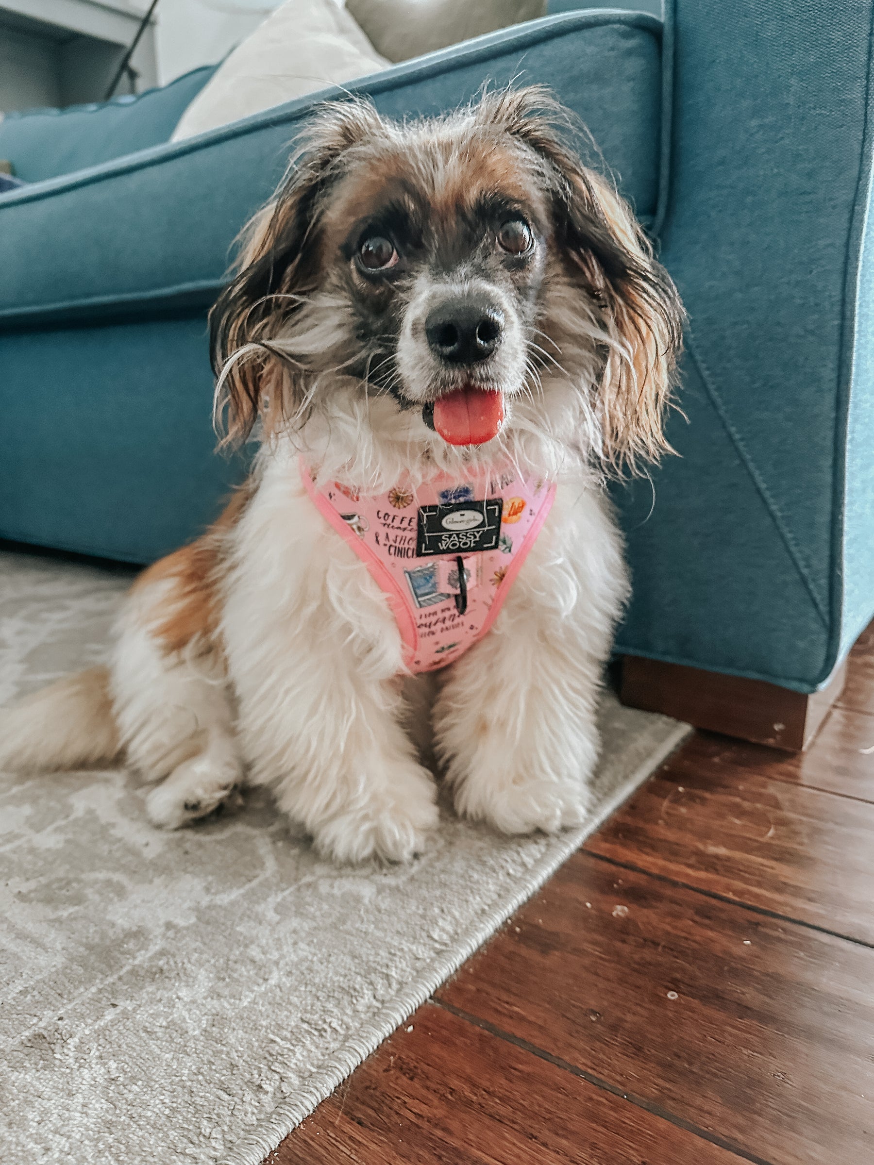 INFLUENCER_CONTENT | @RESCUINGRUTHIE | SIZE S