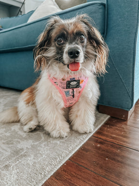 INFLUENCER_CONTENT | @RESCUINGRUTHIE | SIZE S