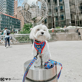 INFLUENCER_CONTENT | @ROCKYNYCMORKIE | SIZE S