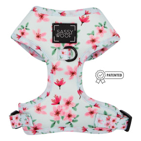 Dog Two Piece Bundle - Sakura