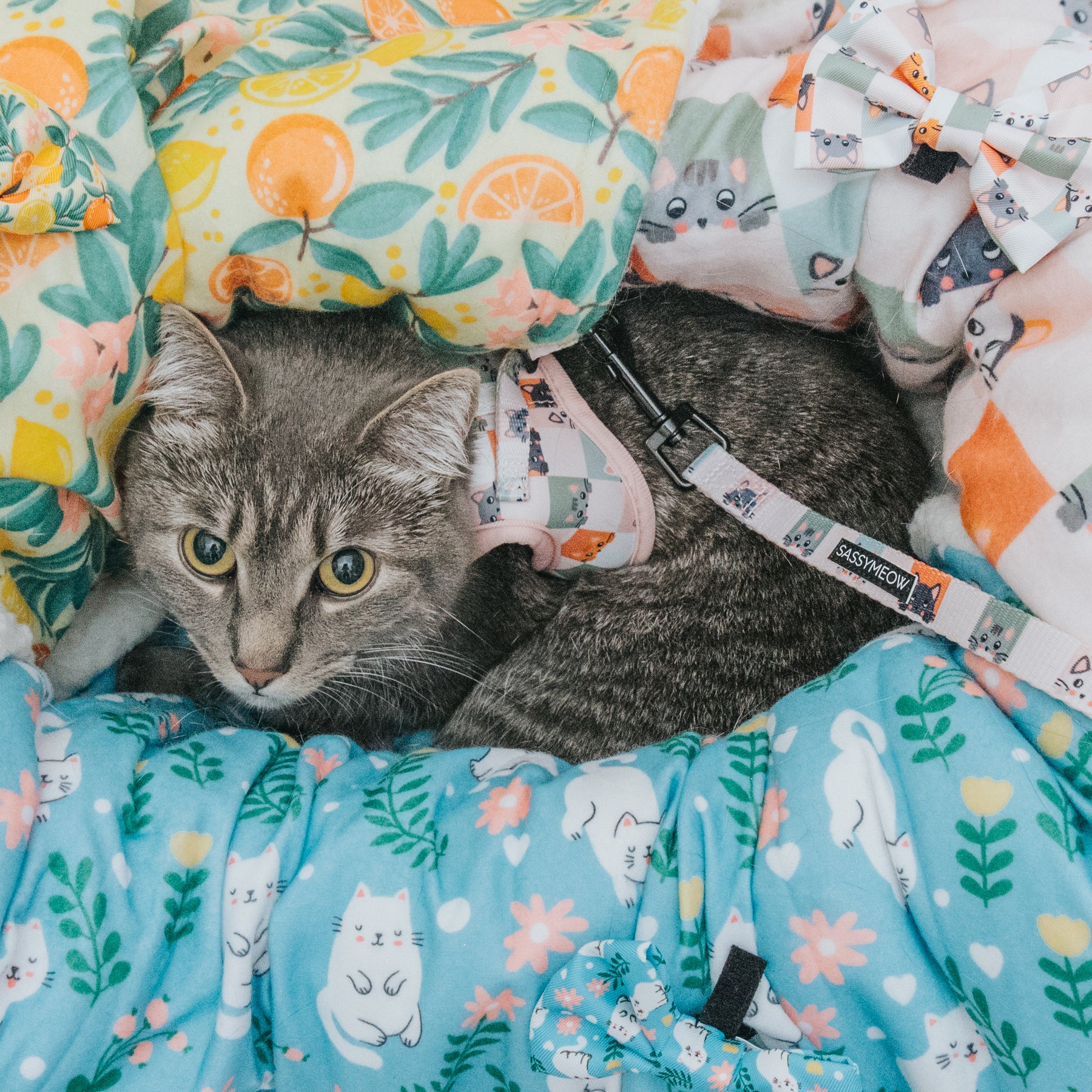 Cat Blanket - Purrs & Petals