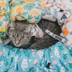 Cat Blanket - Smitten Kittens