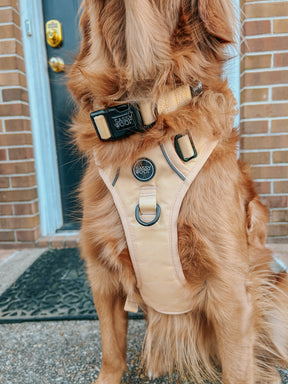 INFLUENCER_CONTENT | @SCOUTTHEGOLDEN_VA | SIZE L & L