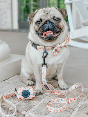 INFLUENCER_CONTENT | @ATOASTYPUG | SIZE M