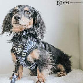 INFLUENCER_CONTENT | @SLINKYDOGSHERIFF | SIZE S