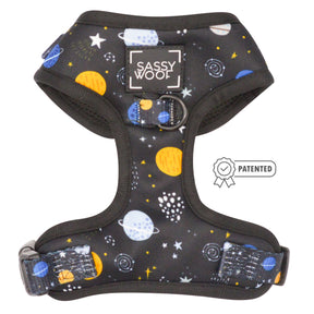 Dog Two Piece Bundle - To the Stars and Beyond