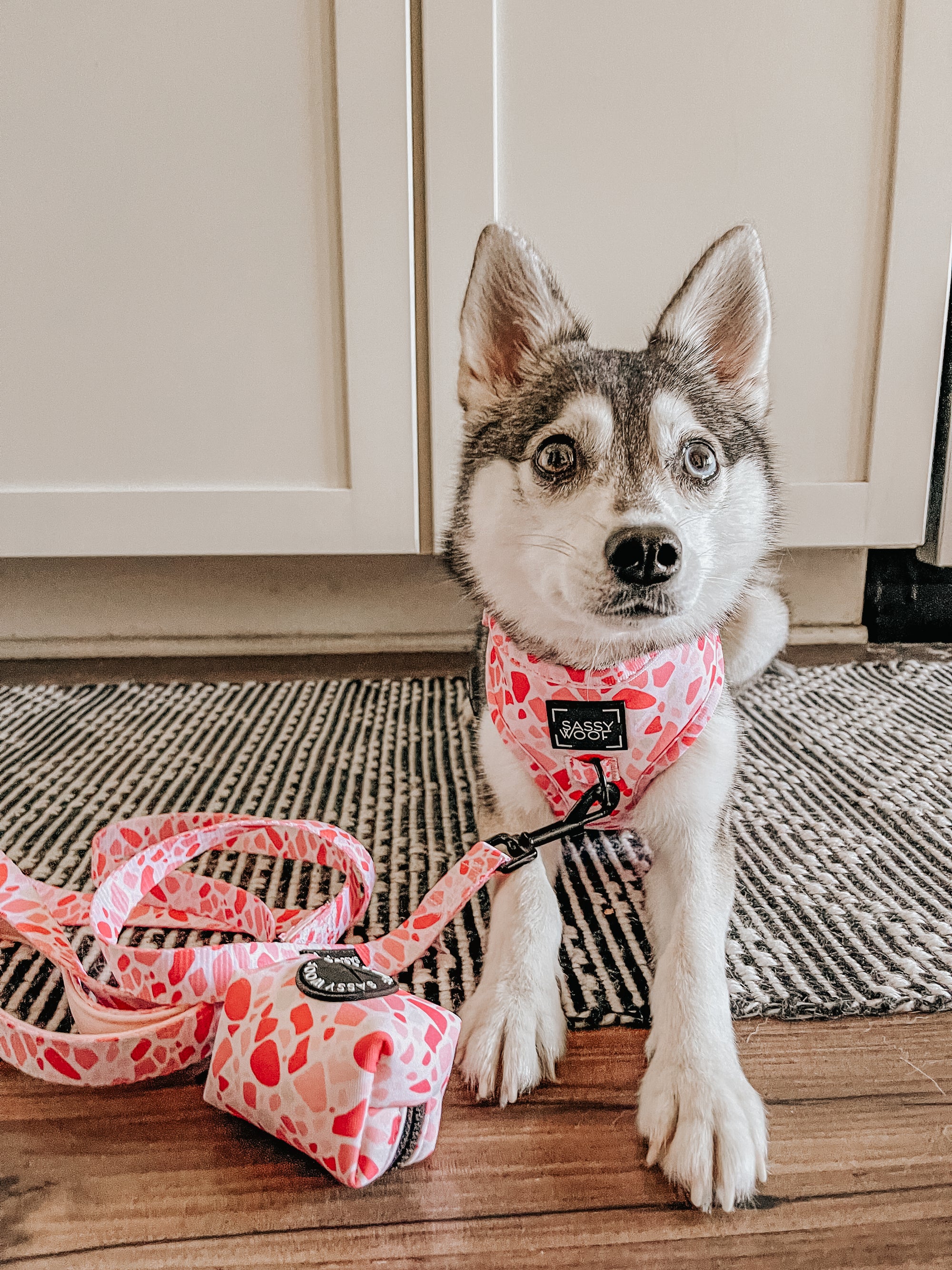 INFLUENCER_CONTENT | @STORMYTHEKLEEKAI