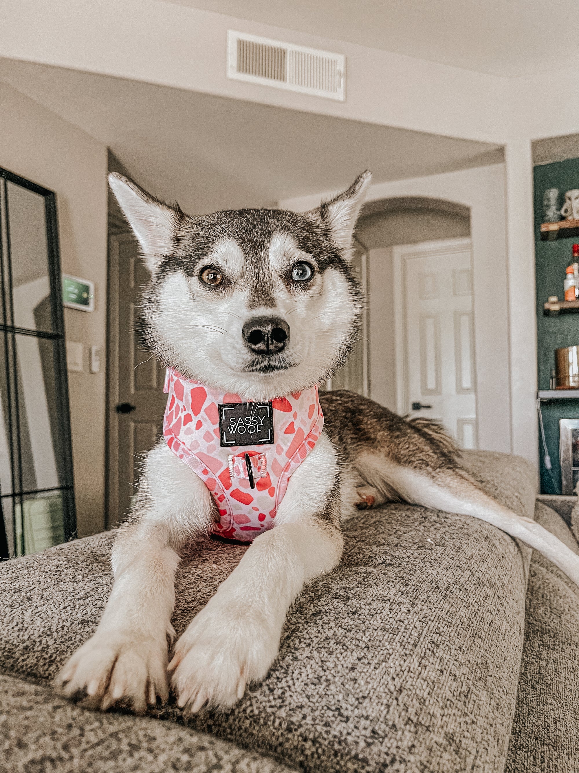 INFLUENCER_CONTENT | @STORMYTHEKLEEKAI | SIZE XS