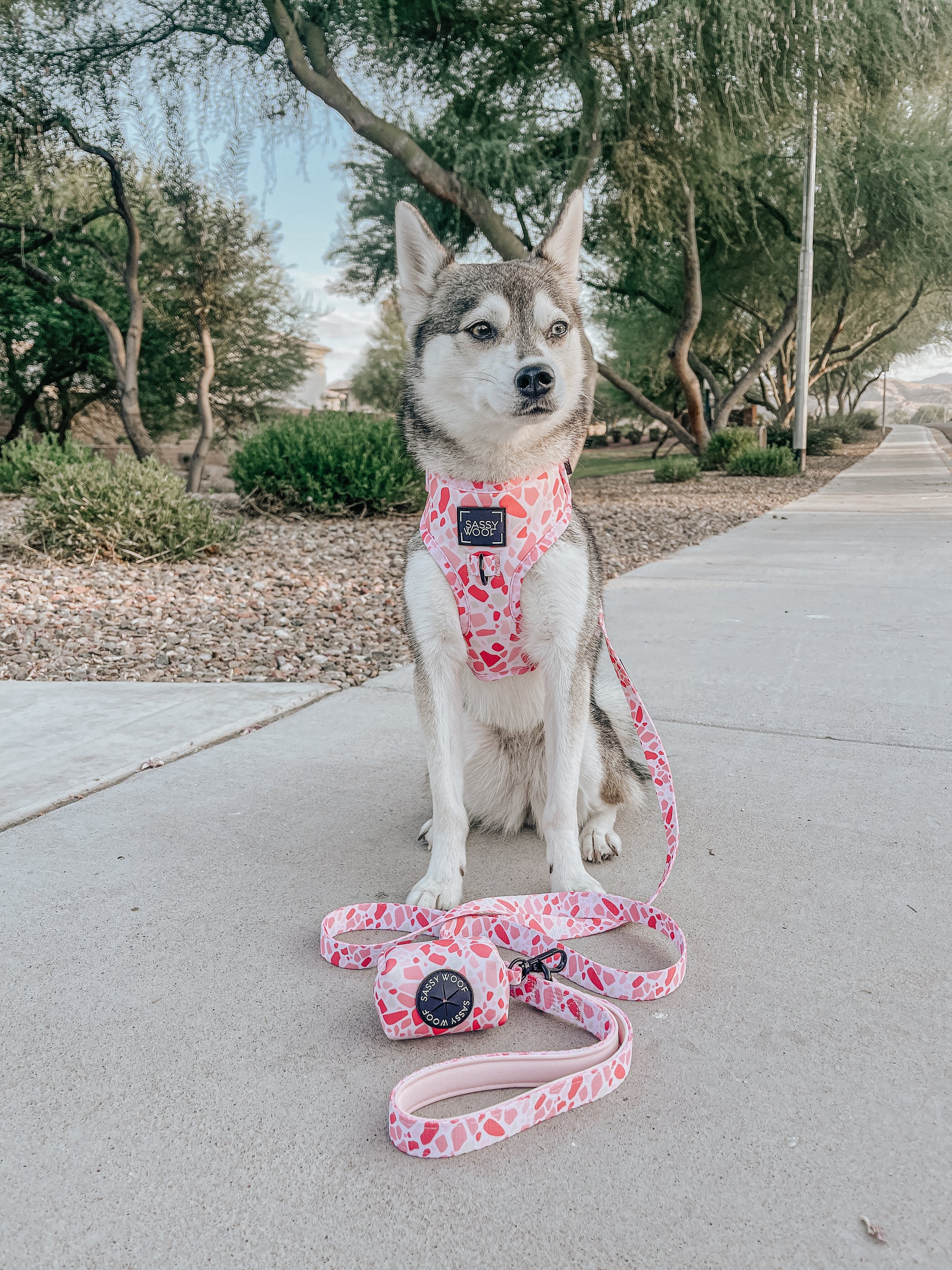 INFLUENCER_CONTENT | @STORMYTHEKLEEKAI | SIZE S & XS