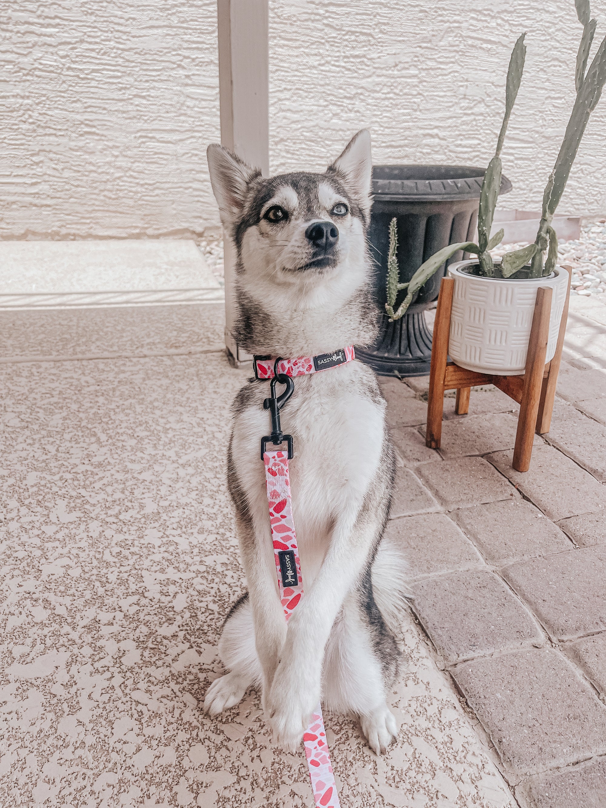 INFLUENCER_CONTENT | @STORMYTHEKLEEKAI | SIZE S