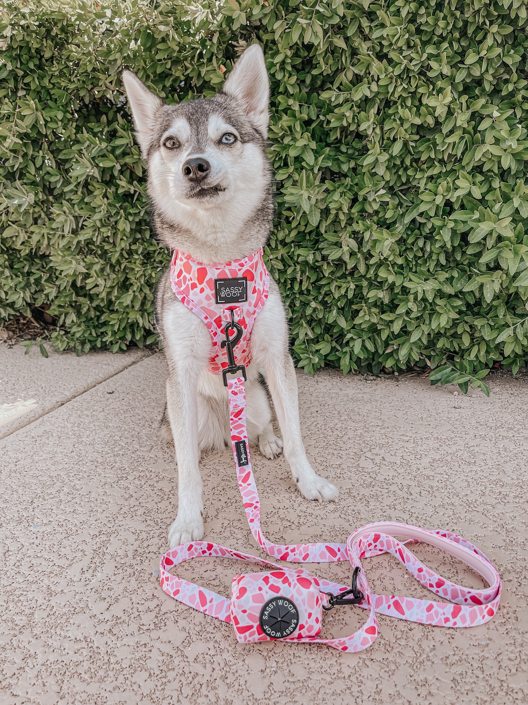 INFLUENCER_CONTENT | @STORMYTHEKLEEKAI | SIZE S & XS