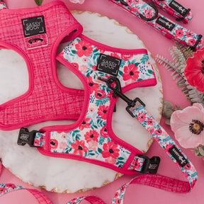 Dog Reversible Harness - Floral Frenzy