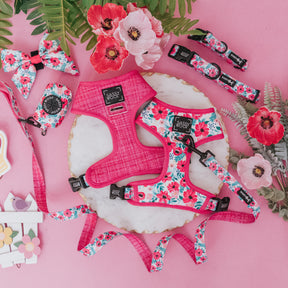 Dog Four Piece Bundle - Floral Frenzy