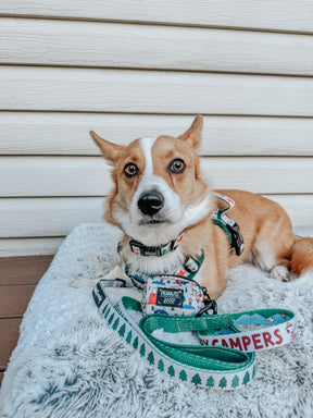 INFLUENCER_CONTENT | @TATERTHECORGI23 | SIZE M 
