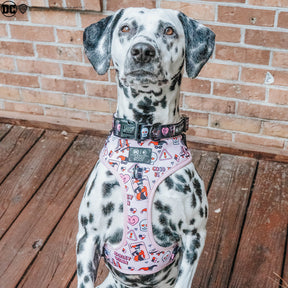 INFLUENCER_CONTENT | @THE.HERO.DOGS | SIZE M & L