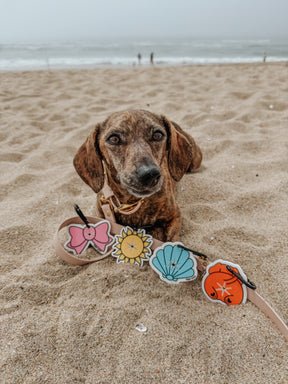 INFLUENCER_CONTENT | @THE_DOXIESQUAD